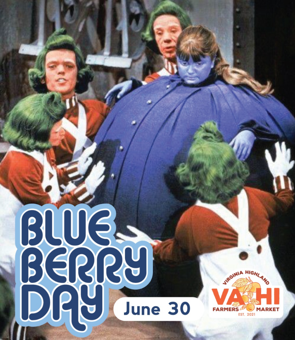 Blueberry Day VAHI 1200